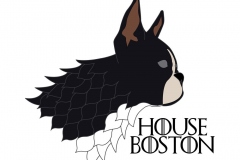 House Boston